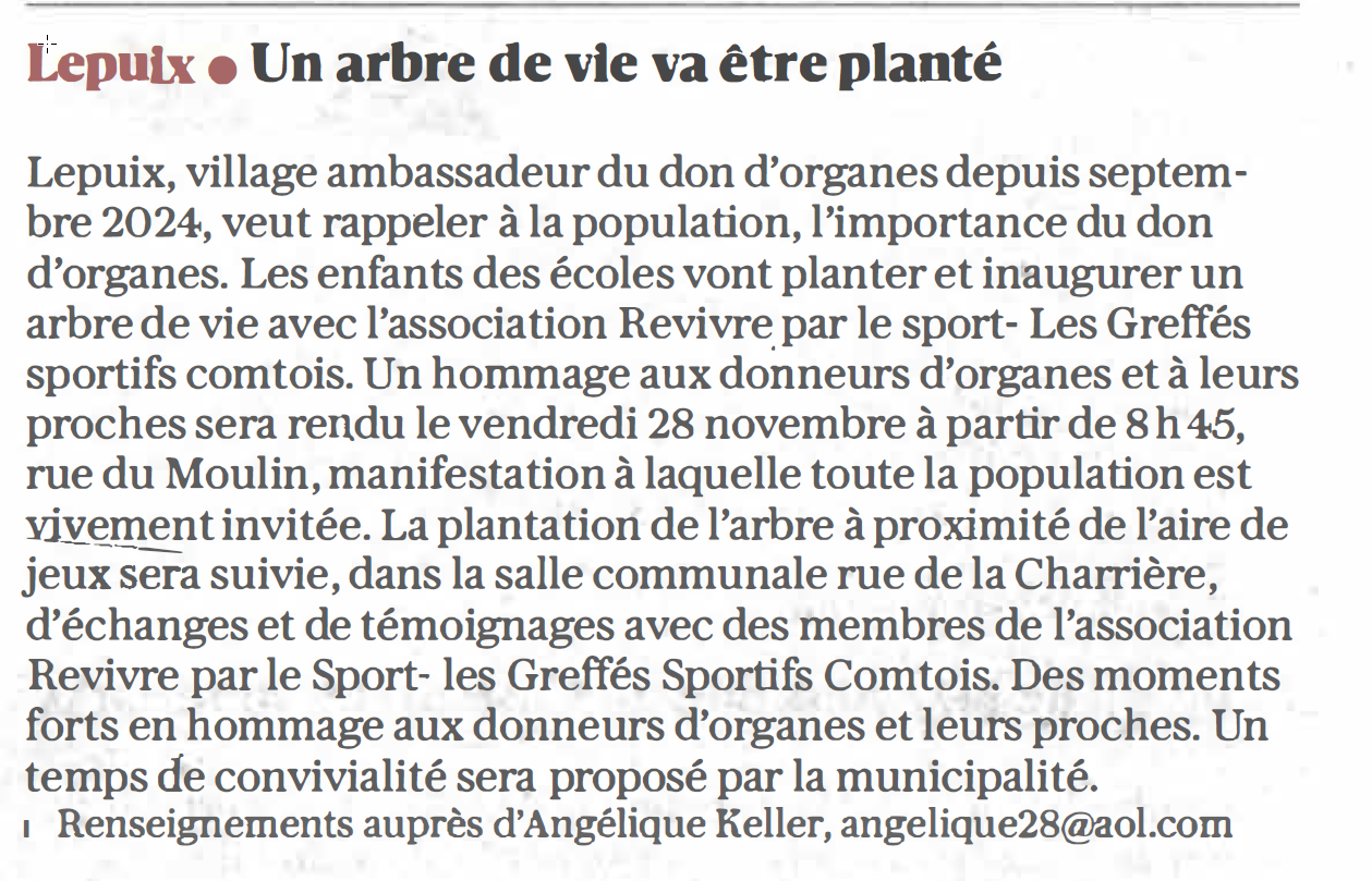 20251120 arbre